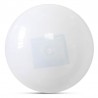 Outdoor Solar Ball-shaped Decor Light