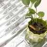 Silver Plant Grow Light Accessories Greenhouse Coating Reflective Film
