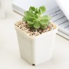 Succulent Planting Pots Mini Pots Small Square Pots Nursery Pots Plastic