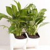 Simple Three-dimensional Combination Plant Flower Pot
