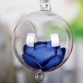 Plant Terrariums Fashionable Glass Greenhouse Ball Shape Hanging Vase