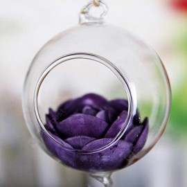 Plant Terrariums Fashionable Glass Greenhouse Ball Shape Hanging Vase
