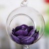 Plant Terrariums Fashionable Glass Greenhouse Ball Shape Hanging Vase