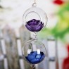 Plant Terrariums Fashionable Glass Greenhouse Ball Shape Hanging Vase