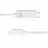9572 HD Screen Type-C to HDMI 1.8m Cable