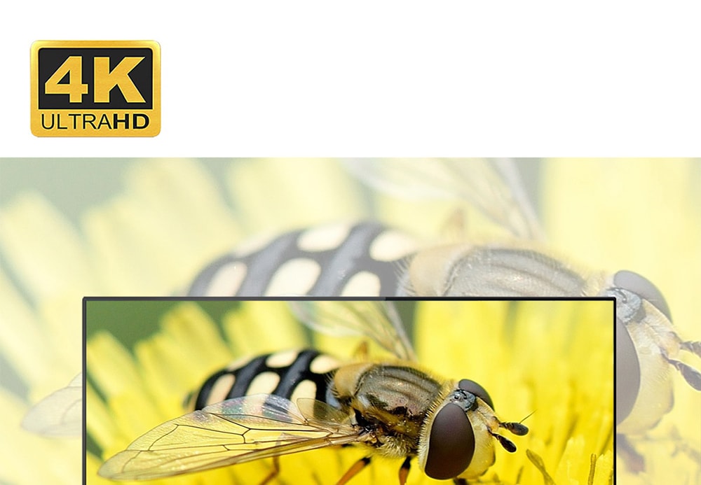 SCISHION Model X TV Box Rockchip3229 Android 8.1 2GB RAM + 16GB ROM 5G WiFi 100Mbps Support 4K H.265- Black US Plug