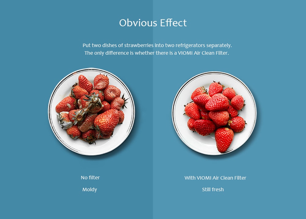 VIOMI VF1 - CB Herbaceous Refrigerator Air Clean Filter Sterilization - Silver