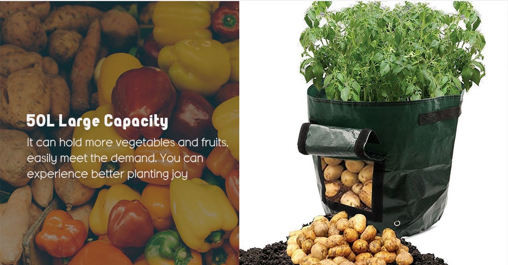 Potato Planting Vegetable Bag Simple Gardening PE Barrel- Medium Sea Green