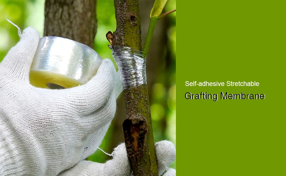 Self-adhesive Stretchable Fruit Tree Grafting Membrane - Green Onion 1Pc