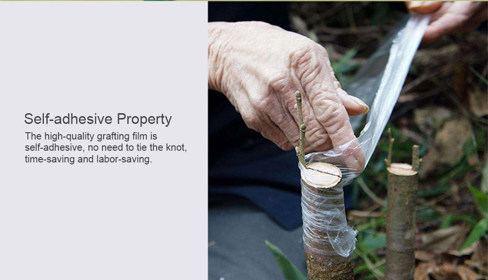 Self-adhesive Stretchable Fruit Tree Grafting Membrane - Green Onion 1Pc