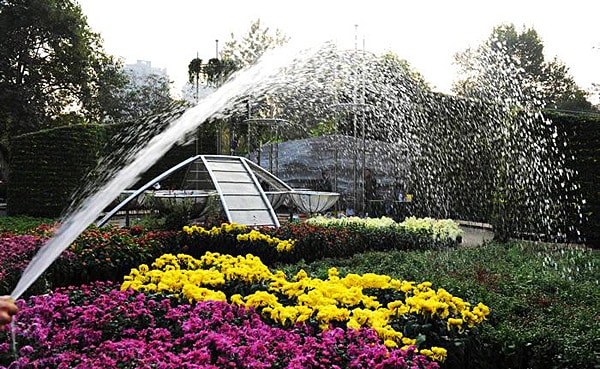 Water Supply Expandable Flexible Garden 50FT Pipe with Cloth Surface - Green- Green