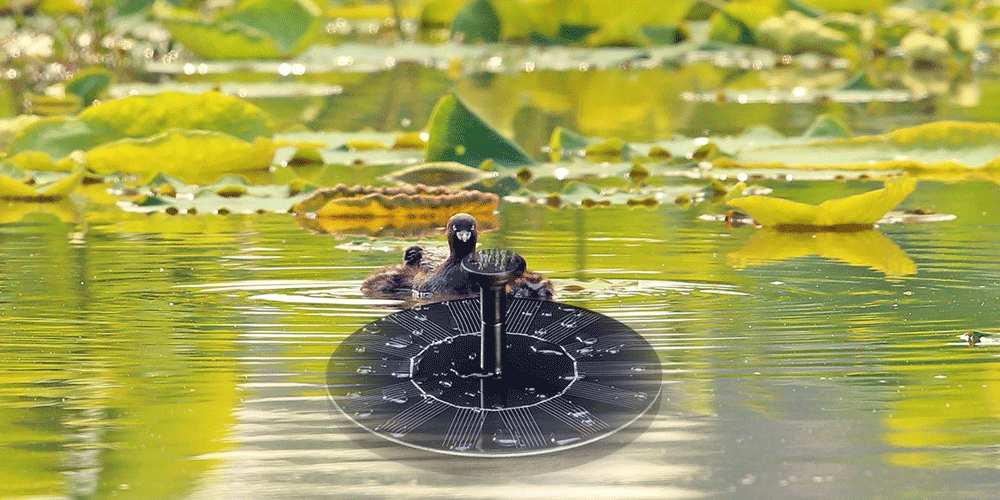 Solar Floating Bath Fountain Pump For Garden and Patio Watering- Black