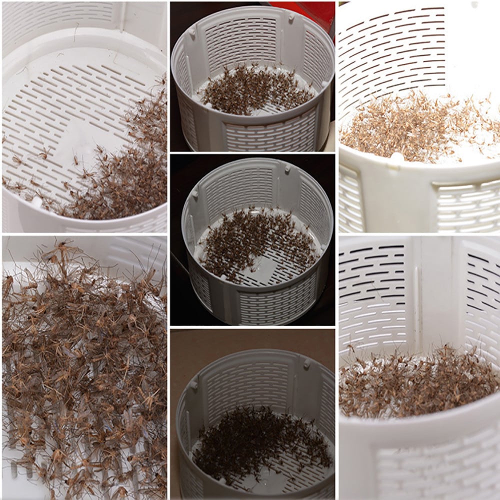 USB Photocatalyst Killer  Mosquito LED Light Trap  Pest Control- Black