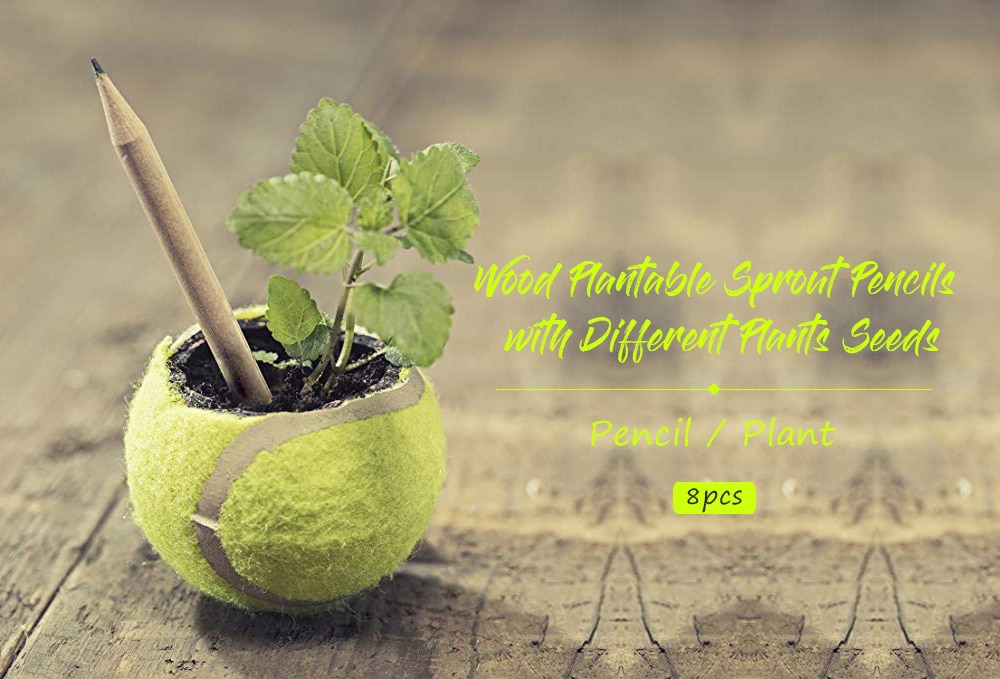 Wood Plantable Sprout Pencils Stationery Student Writing Pencil with Different Plants Seeds 8pcs- Tan