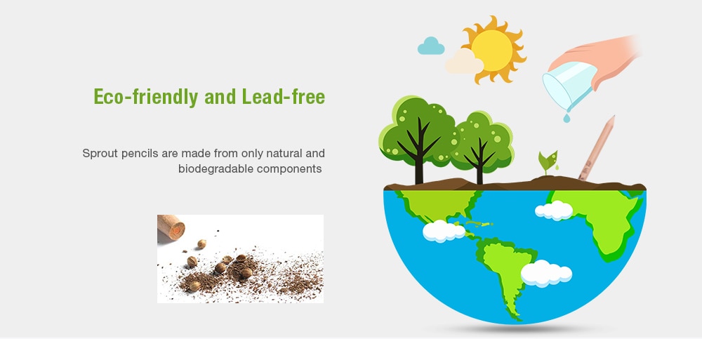 Wood Plantable Sprout Pencils Stationery Student Writing Pencil with Different Plants Seeds 8pcs- Tan