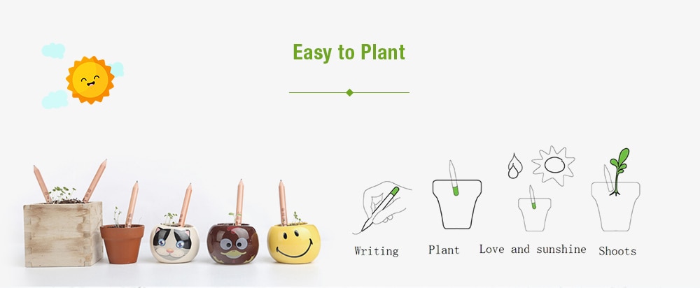 Wood Plantable Sprout Pencils Stationery Student Writing Pencil with Different Plants Seeds 8pcs- Tan