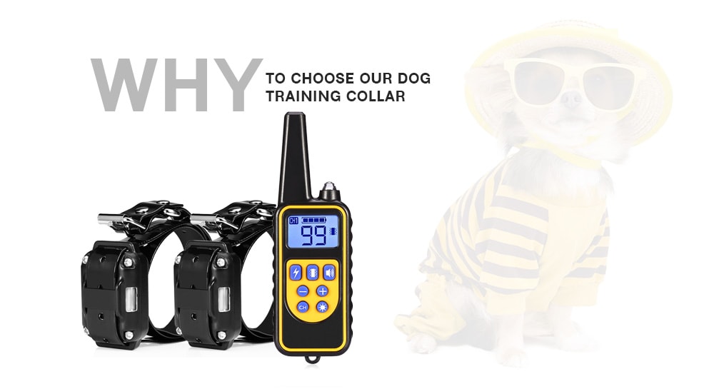 800m Waterproof Rechargeable Remote Control Dog Electric Training Collar with 2 Receivers- Black EU