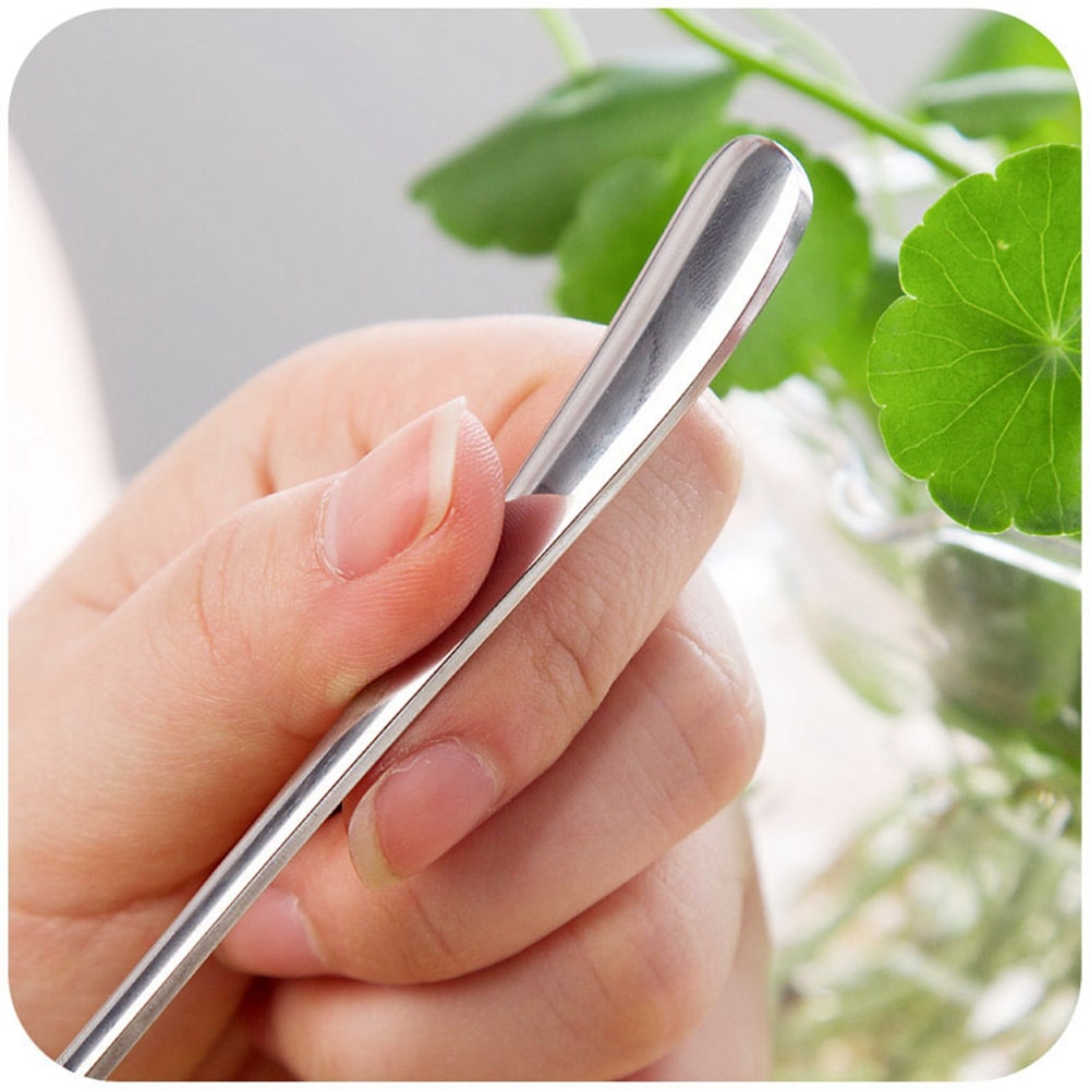 Stainless Steel Long Handled Spoon- SilverMirror Oval