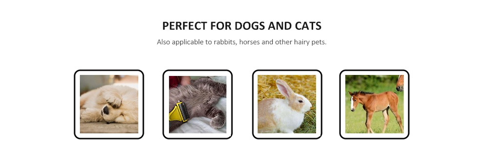 Pet Double-sided Open Comb Hair Removal Grooming Tool- Yellow