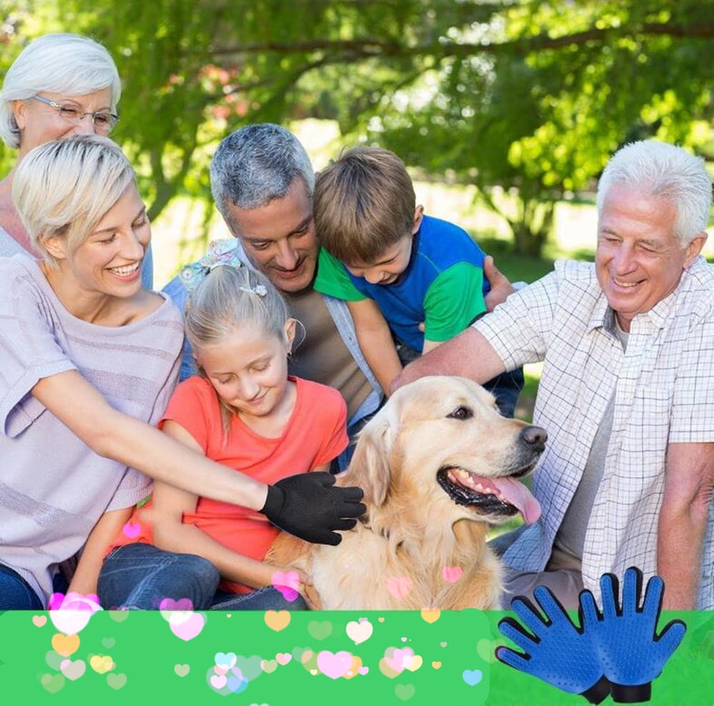 Silicone Pet Float Hair Removing Massage Gloves The Right Hand- Windows Blue