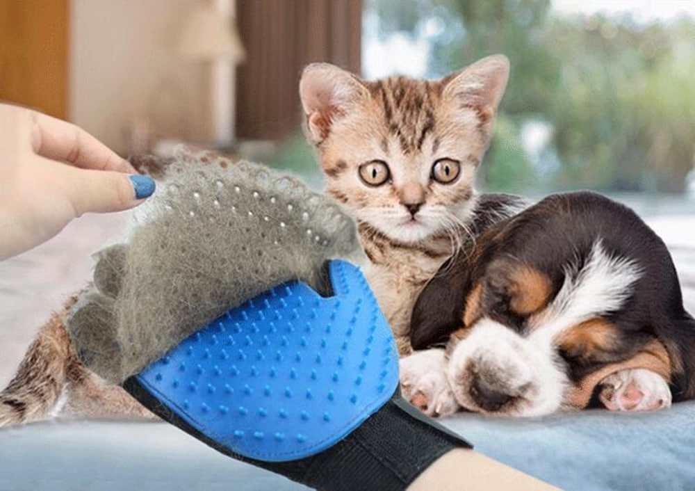 Silicone Pet Float Hair Removing Massage Gloves The Right Hand- Windows Blue