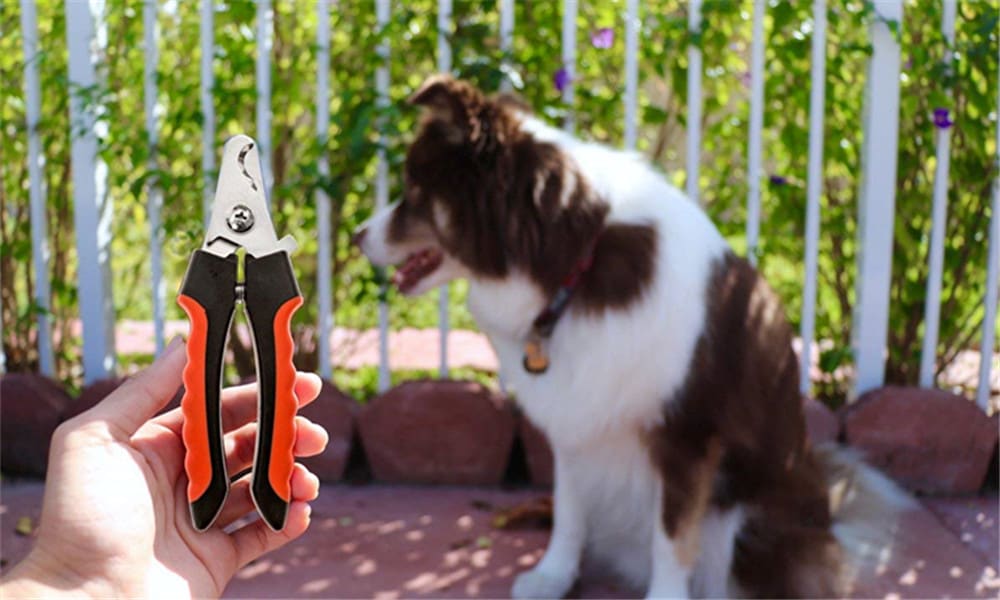 Professional Pet Nail Clipper Scissors for Large or Small Dogs and Cats- Red