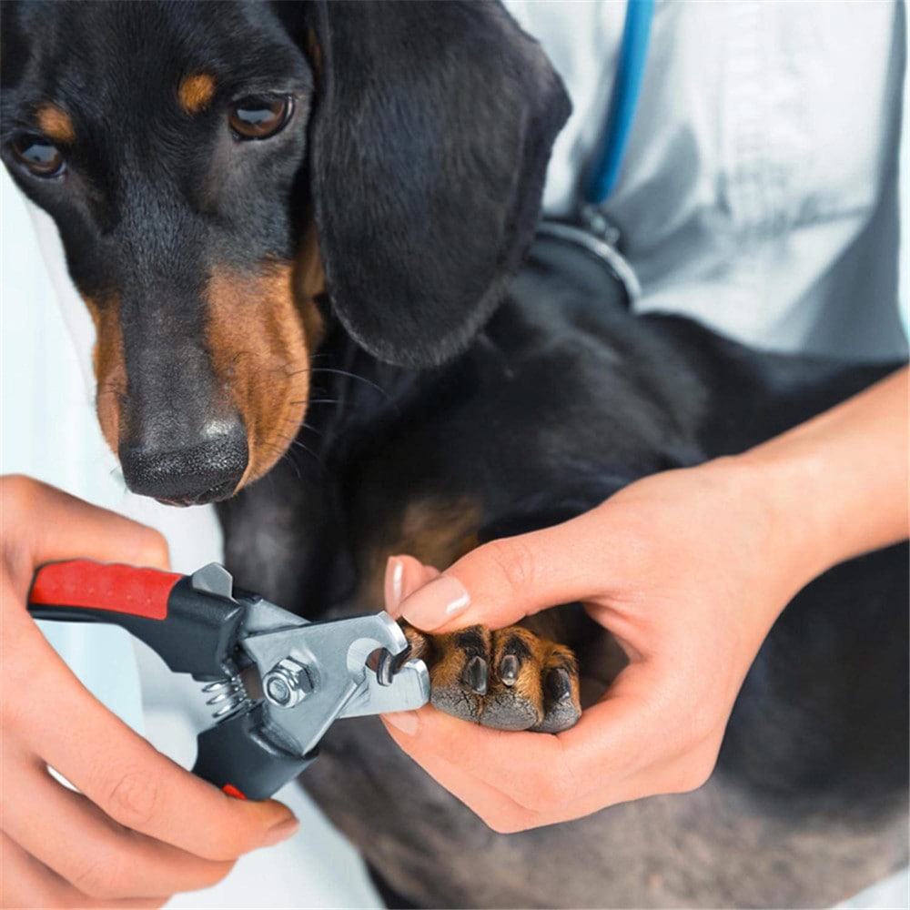 Professional Pet Nail Clipper Scissors for Large or Small Dogs and Cats- Red
