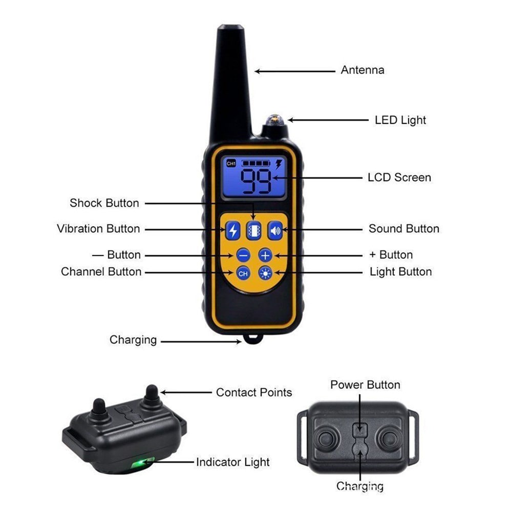 Shock Training Collar Electronic Remote Control Waterproof 875 Yards 2 Dogs- Black US Plug (2-pin)