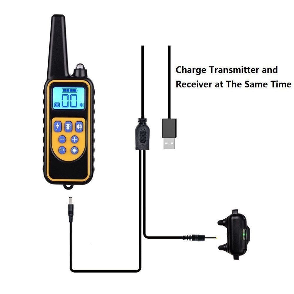 Shock Training Collar Electronic Remote Control Waterproof 875 Yards 2 Dogs- Black US Plug (2-pin)